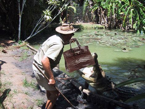 hermes crocodile breeding